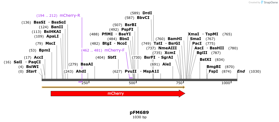 148673_map