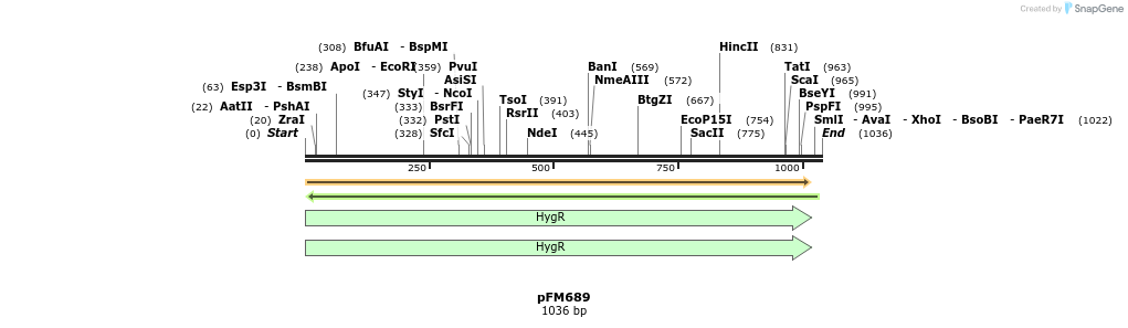 148674_map