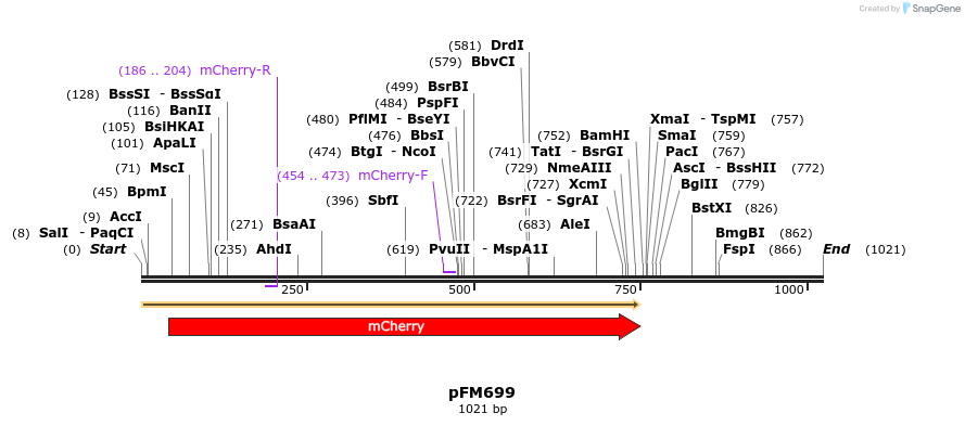 148680_map