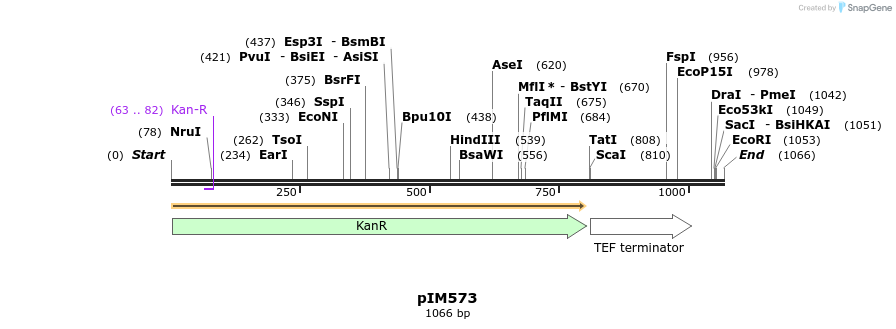 148686_map