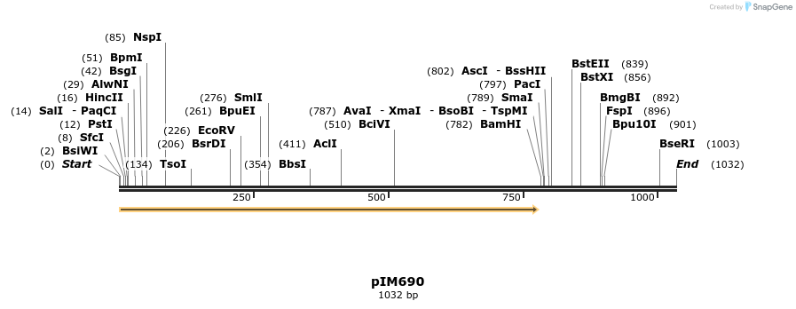 148691_map