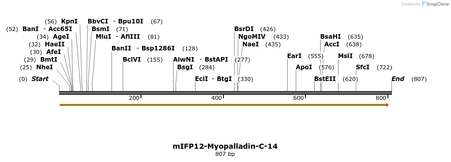 148692_map