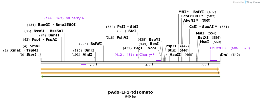 148700_map