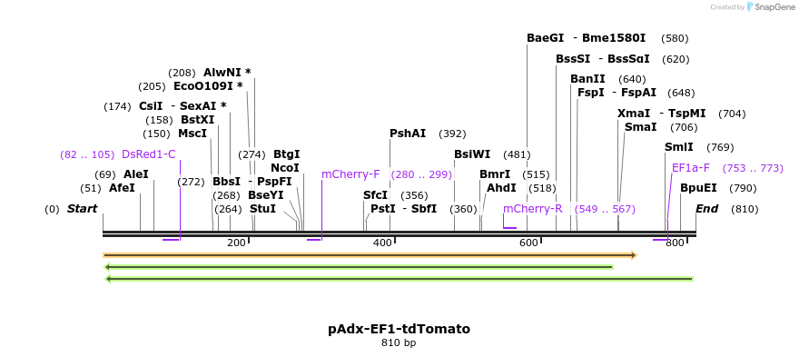 148701_map