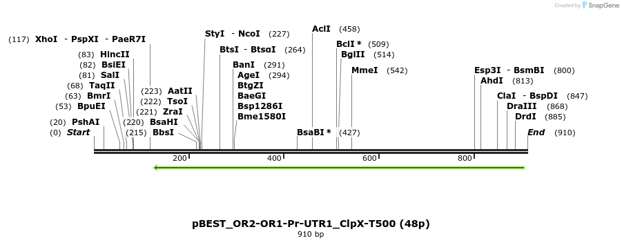 148702_map