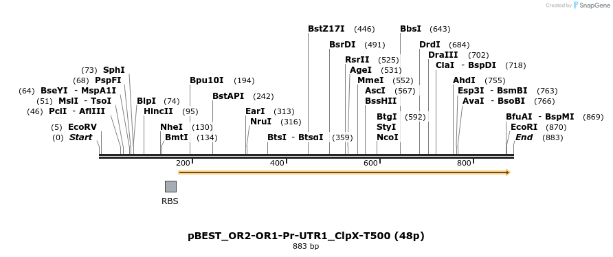 148705_map