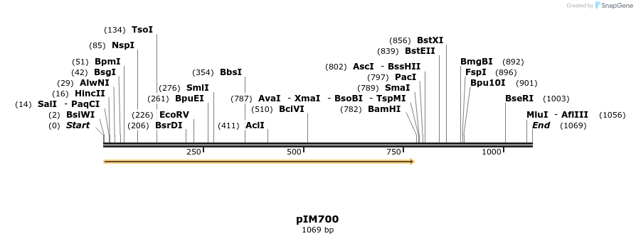 148714_map