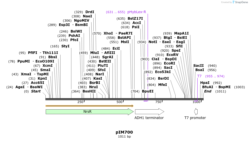 148717_map