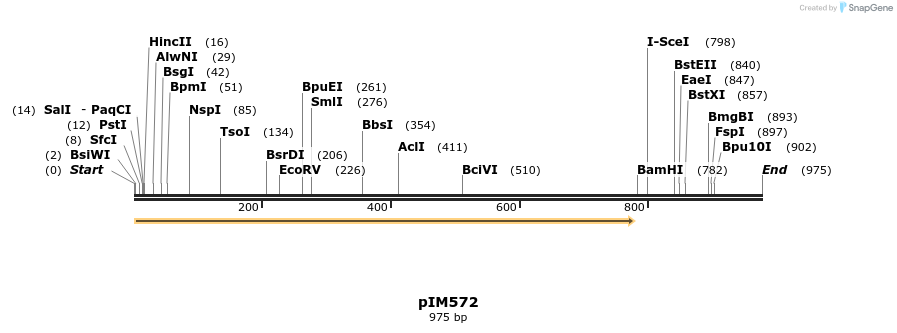 148723_map