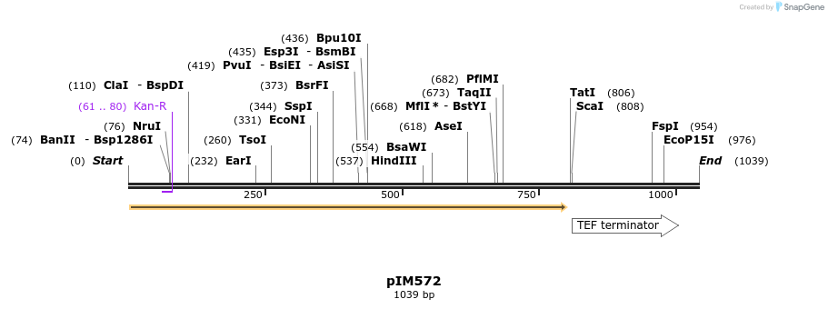 148724_map
