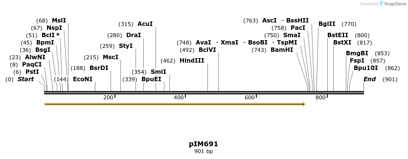 148729_map