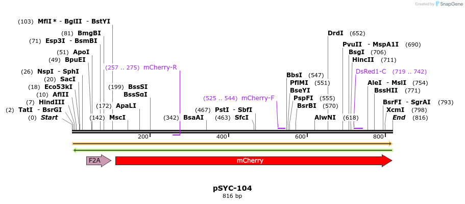 148731_map