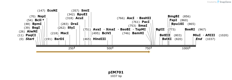 148740_map