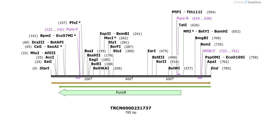 148742_map