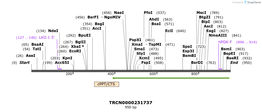 148743_map