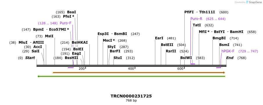 148746_map