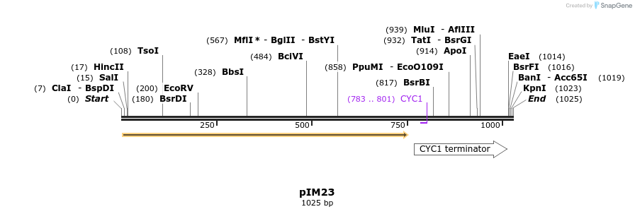 148750_map