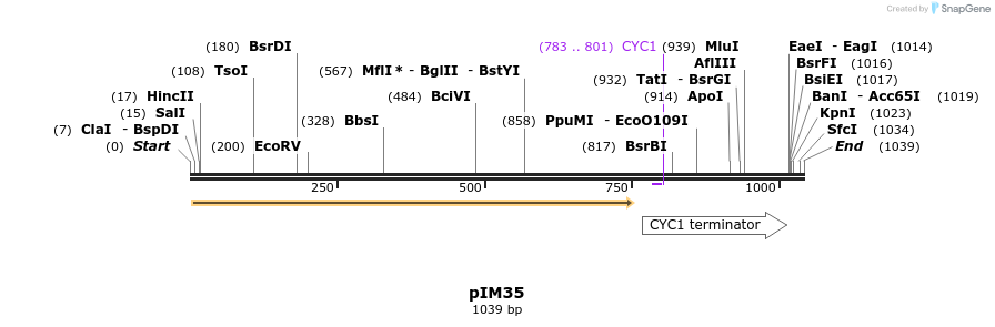 148789_map