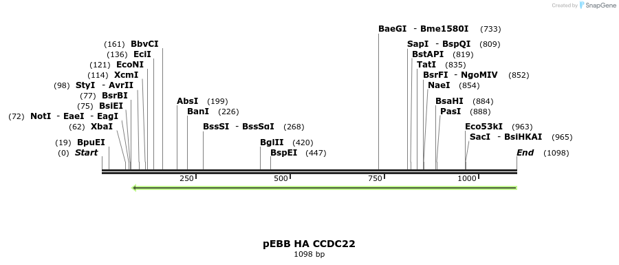 148790_map