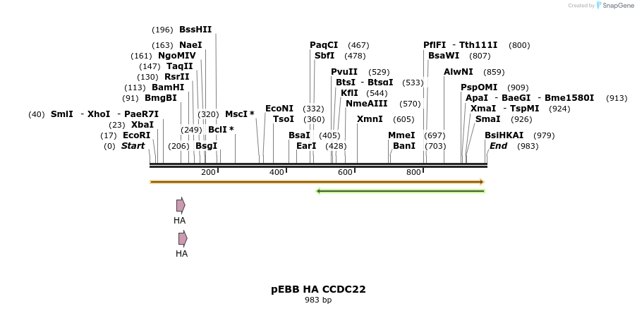 148791_map