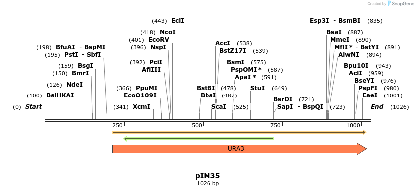 148792_map