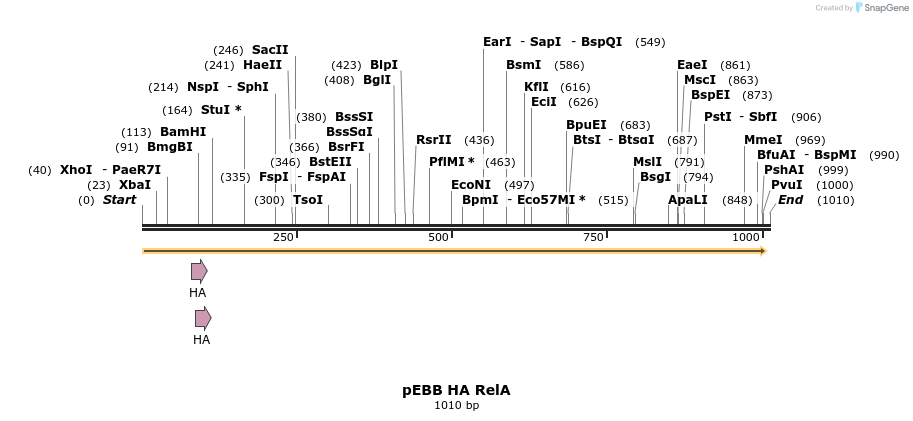 148793_map