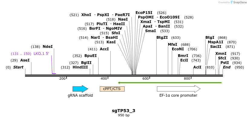 148811_map