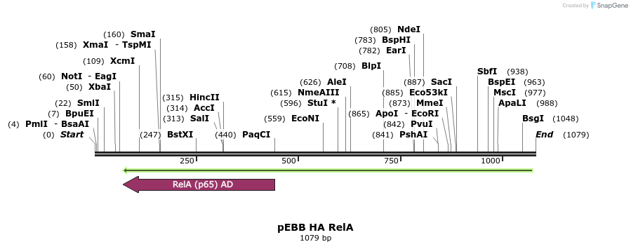 148812_map