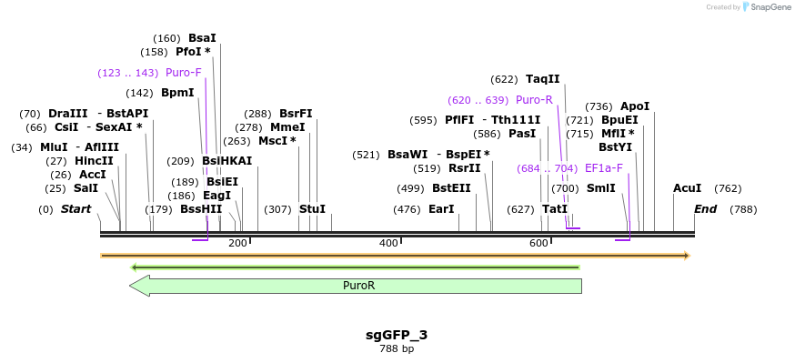 148813_map