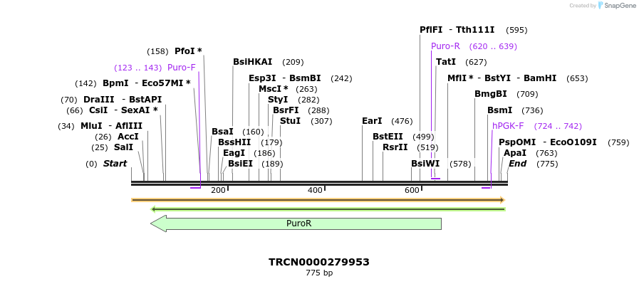148817_map