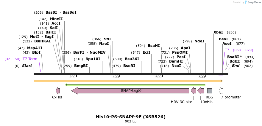 148820_map