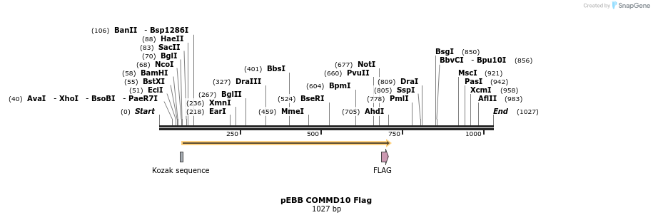 148829_map