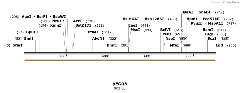 148830_map