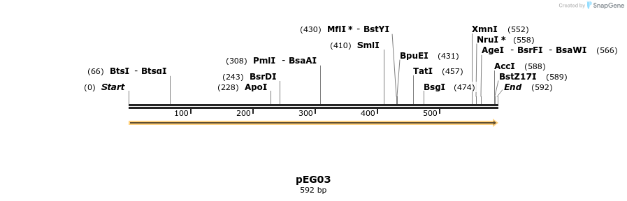 148833_map