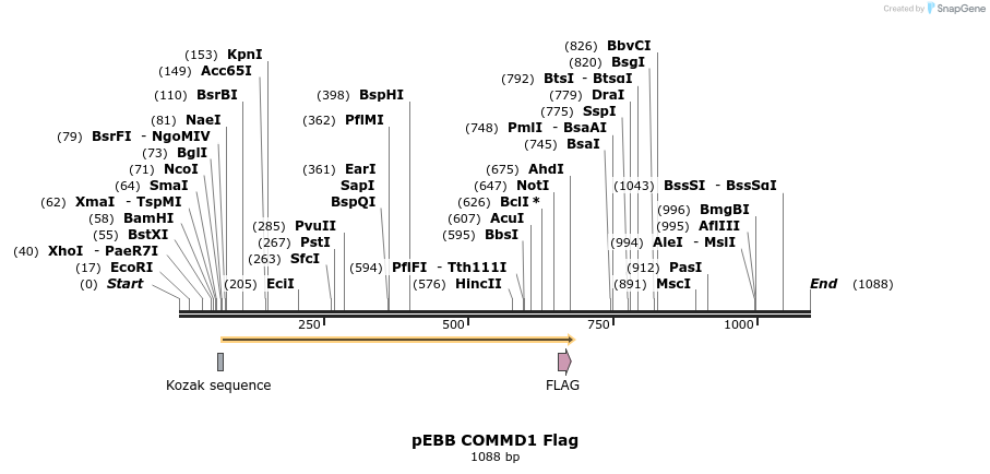 148835_map