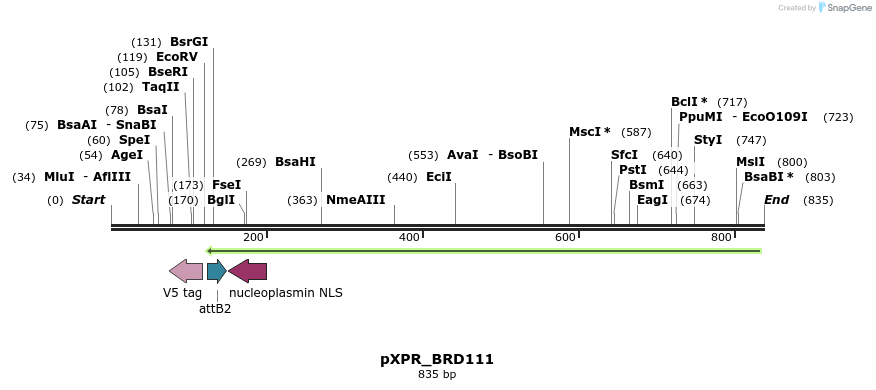 148841_map
