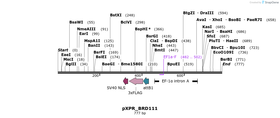 148843_map
