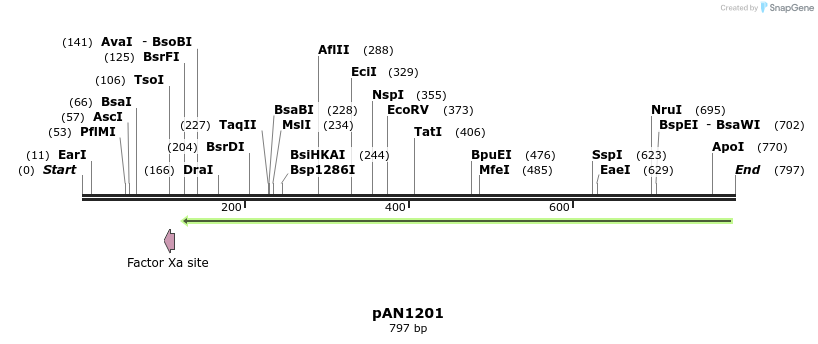 148854_map