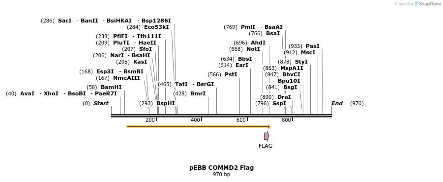 148859_map