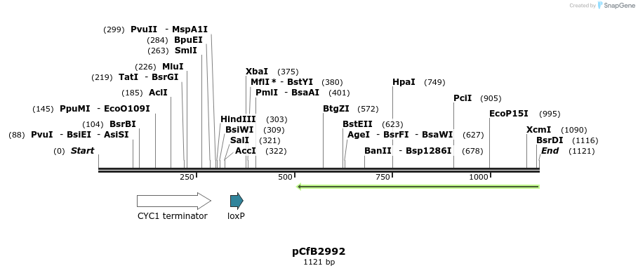 148861_map