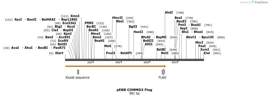 148862_map