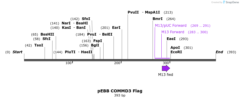 148864_map