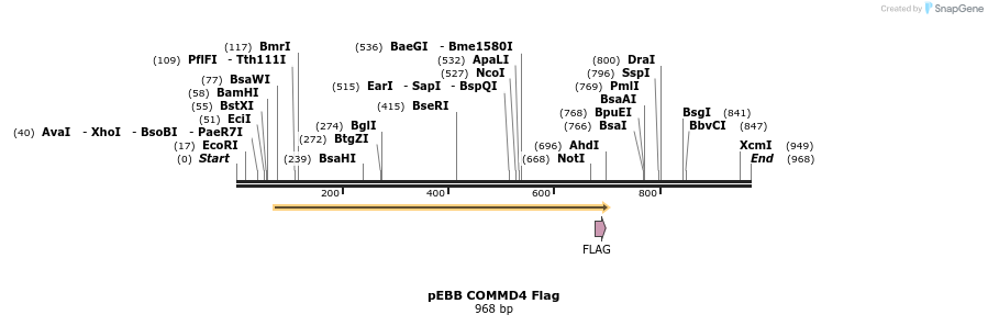 148865_map