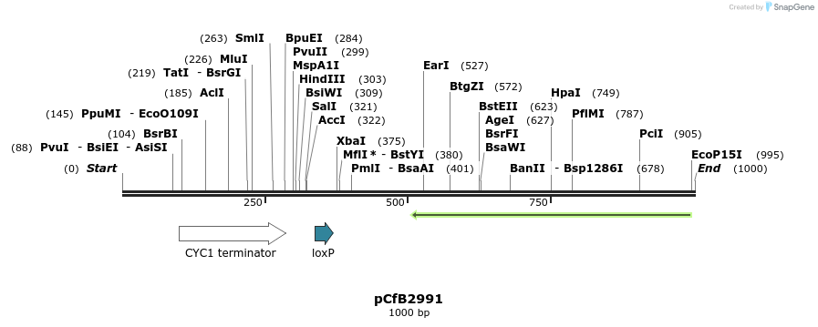 148868_map