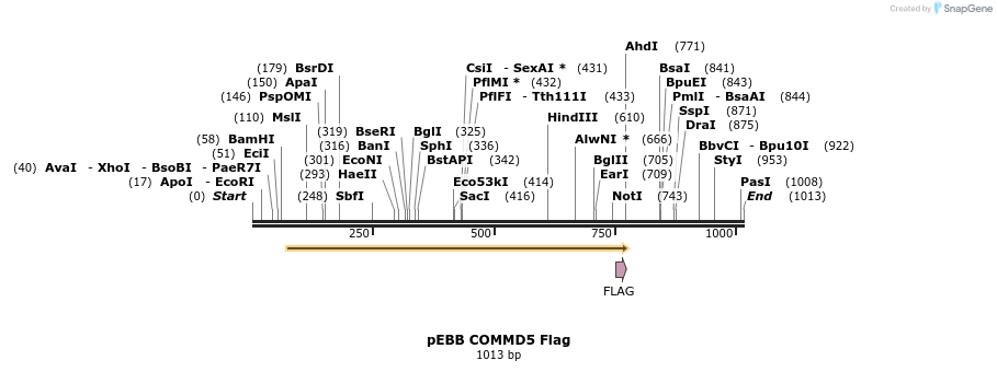 148870_map