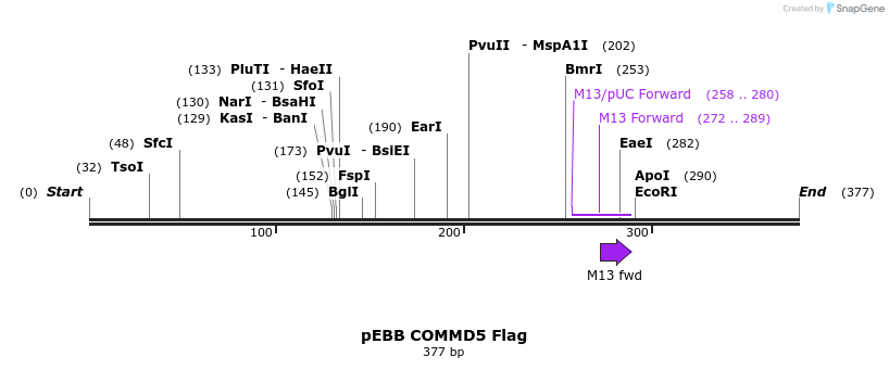 148871_map