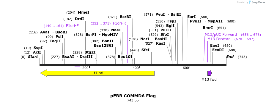 148878_map