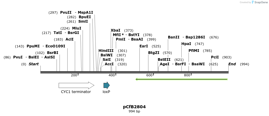 148879_map