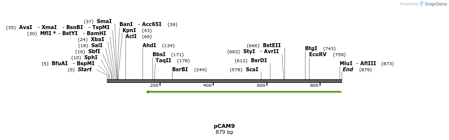 148897_map