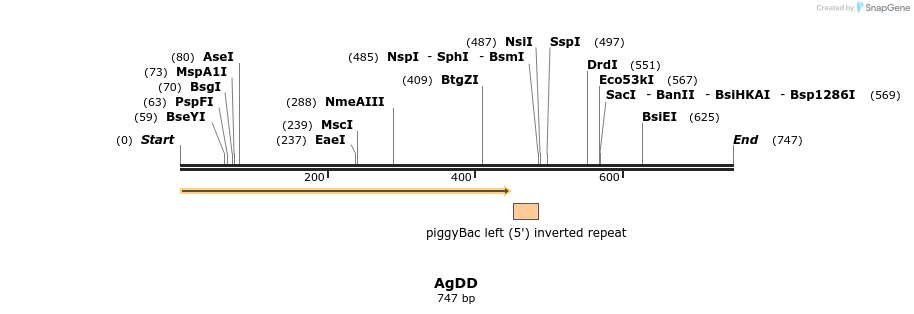 148898_map
